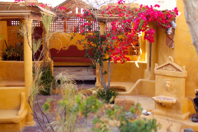 Garden in Oia
