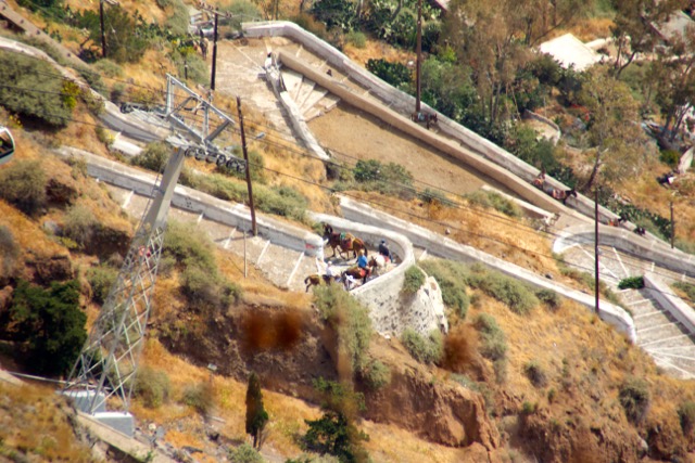 Donkeys transport cruise ship passengers up the hill